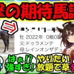 『ドゥラメンテ産駒からとんでもない馬が誕生しSNSで大反響を呼ぶ！』に対するみんなの反応集 ウマ娘 まとめ 速報 競馬 【ウマ娘プリティーダービー】【かえで】