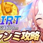 【#ウマ娘】8月DIRTチャンミ コース攻略【中京1800m/DIRT】