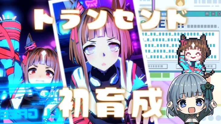 【ウマ娘】ダートチャンミをともに走ろう！トランセンド初育成🍀✨【配信者フルボイス】