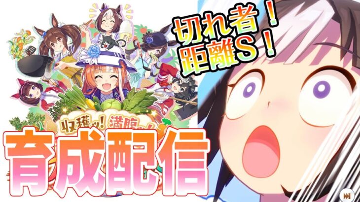 【ウマ娘】【縦型配信】本！育！成！  #ウマ娘  #育成配信 #ゲーム実況   #ガチャ #わずやん