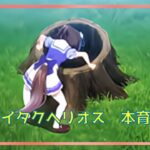 【ウマ娘】ダートチャンミ　本育成　ダイタクヘリオス　【低所得サラリーマンふくめんのゲーム実況チャンネル】