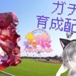 【ウマ娘】3.5周年！！ガチャと育成しながらゆっくり雑談(質問とかどんどんください！)【十咎悠華】