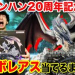 【一番くじ】モンハン20周年記念！ミラボレアス当てるまで帰れません！財布焼き尽くされました。｜一番くじ、一番賞、モンスターハンター