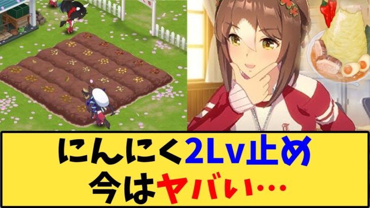 【ウマ娘】「にんにく2Lv止め、今はヤバい…」に対する反応【反応集】