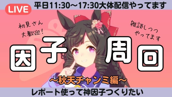 【ウマ娘】今週はチャンミ用因子周回！設計図作ろう/クルクルがんばるぞ～えいえいむん！/ルムマ気軽にご参加ください！【#ウマ娘プリティーダービー #ライブ配信 #ゲーム実況 】