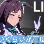 【#ウマ娘】チャンミとは？な人による育成【概要欄読んでね】