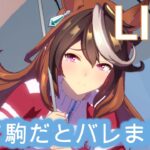 【#ウマ娘 】チャンミ走っていく人による育成【概要欄読んでね】