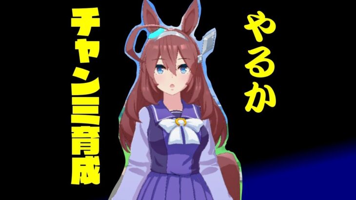 【ウマ娘】UC狙いのチャンミの育成だ！