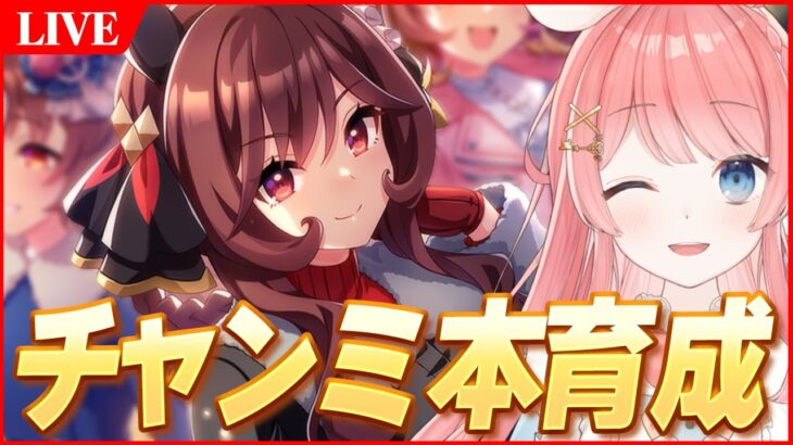 【ウマ娘LIVE】ジェンティルドンナ初育成！10月チャンミまであと14日　ドンナ/ラモーヌ/衣装アルダン