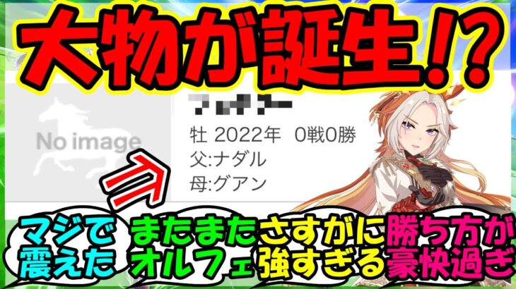 【ウマ娘 反応集】『オルフェーヴルの孫からとんでもない馬が誕生にSNSで大反響！』に対するみんなの反応集 ウマ娘 まとめ フェデラー 武豊 競馬 【ウマ娘プリティーダービー】