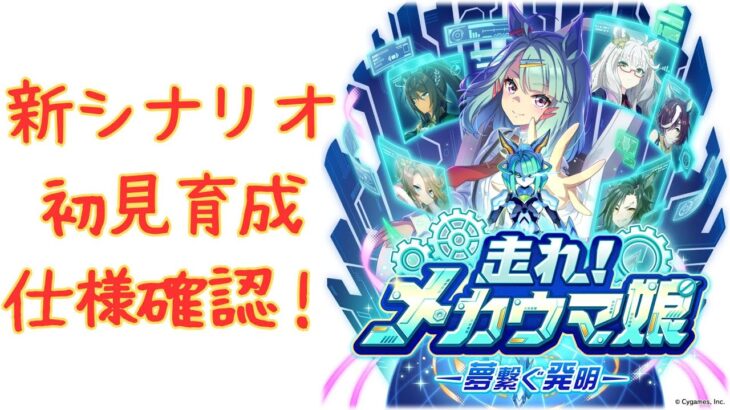 【ウマ娘】【無課金】とりあえず新シナリオ育成してみる！/チャンピオンズミーティング/LOH