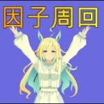 【ウマ娘】チャンミ用に祖父母の祖因子周回【LIVE】