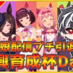 【ウマ娘】初見さん大歓迎！今年最後の3連ハイパー即興育成杯・PART1！※概要欄必読