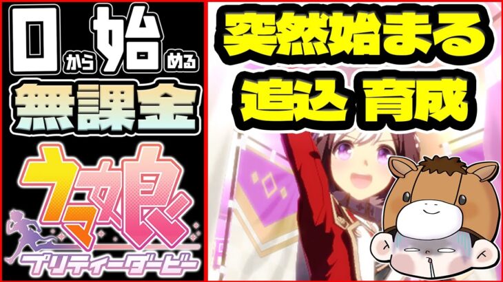 【ウマ娘】メリクリ！パカライブもチラッと見るぞ！フレンド因子5回に全てを賭ける追込スぺ育成！【0から始める無課金ウマ娘57日目】