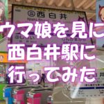 ウマ娘を見に西白井駅に行ってみた