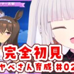 【ウマ娘プリティダービー】アドマイヤベガ育成の続き、RTTT見たから情緒がおかしい【ネタバレ注意】