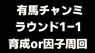 ウマ娘/有馬チャンミ/中距離用因子周回/有馬チャンミ用育成