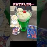 【幻想的！】ウマ娘ヲタク猫がウマ娘コラボのメガイルミに行ってみた！！#ウマ娘プリティーダービー #イルミネーション #競馬#大井競馬場  #cat #ねこ #vlog #vtuber #夏目ニア