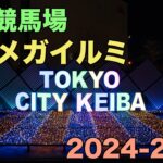 大井競馬場の東京メガイルミ　ウマ娘コラボ