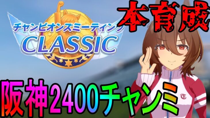 【ウマ娘】阪神2400チャンミ　さすがに本育成の翁 day2【初見さん歓迎】