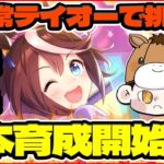 【ウマ娘】本育成が終わらない！環境キャラ未所持なので通常テイオーで勝つ！1月チャンミ本育成！【0から始める無課金ウマ娘79日目】