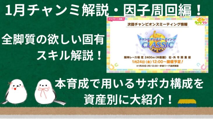 【チャンミ解説】1月チャンミ因子周回！全脚質の固有・スキルを因子目線で解説！初心者から熟練者対応・サポカ構成案も紹介！