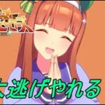 【ウマ娘】そろそろ本育成しないと間に合わない件part5【LIVE】