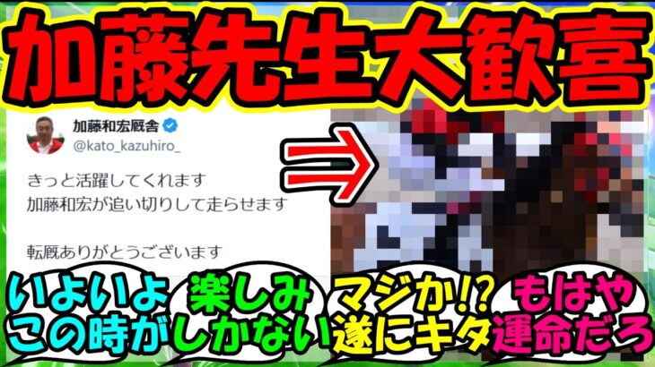 【ウマ娘 反応集】『加藤和宏厩舎に遂にあの競走馬が転厩にSNSで反響を呼ぶ！』に対するみんなの反応集 ウマ娘まとめ【ウマ娘プリティーダービー】