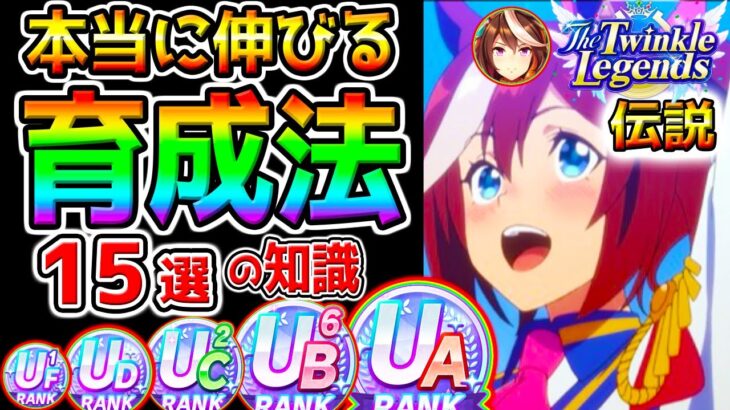 【ウマ娘】UB/UCが作れない人にも!『本当に伸びる育成法まとめ！』15選の知識･立ち回り！絶対伸びるコツ！高ランク育成法 サポカ編成因子周回【ウマ娘プリティーダービー新シナリオ伝説育成法引換券虹結晶