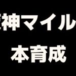 ウマ娘/阪神マイル用キャラ育成/フライト/フラワー/チヨ/ライス