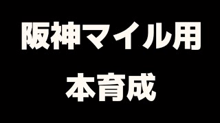 ウマ娘/阪神マイル用キャラ育成/フライト/フラワー/チヨ/ライス