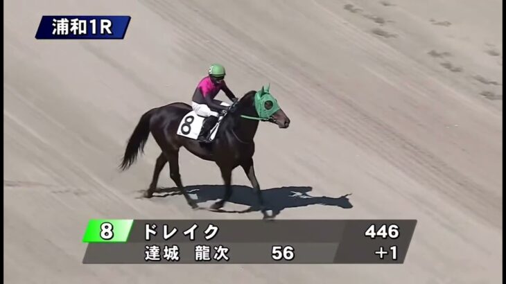 浦和1レース ウマ娘×浦和競馬場コラボ開幕記念 本牡馬入場