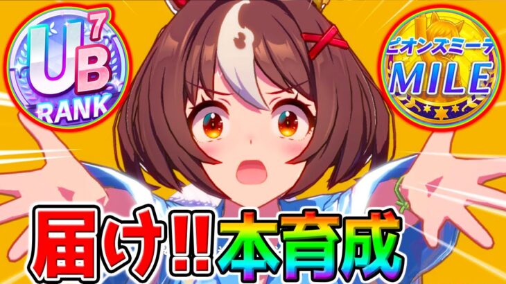 【ウマ娘】本育成！グランアレグリア！青ルビー！継承固有デッキ編成オート因子周回【ウマ娘プリティーダービー 新シナリオ ハイセイコールート引換券