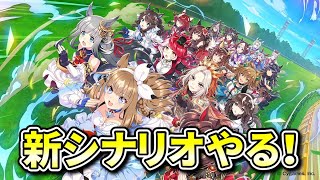 【ウマ娘/新シナリオ】新シナリオでチャンミ本育成【概要欄チェックお願いします！】