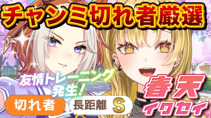 【#ウマ娘】🔰オルフェ切れ者厳選育成やんでえ✨新人ギャルトレによる春天チャンミわちゃ育成回‼️一緒に並走しよ💛#ウマ娘プリティーダービー ＃新人Vtuber #耐久 #新シナリオ