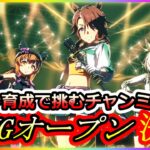 【ウマ娘】オート育成で挑むチャンミLONGオープン決勝(2025/04)