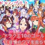 【ドラクエ10】第12回ウマ娘ギャンブルに向けて育成　一週間疲れたね