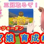 三冠馬決する【ウマ娘】はじめての新シナリオ【育成】#トーセンジョーダン#9