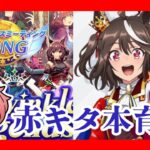 【ウマ娘】　チャンミロングキタちゃん本育成＃ウマ娘プリテイダービー