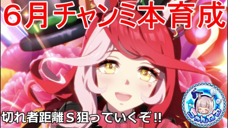 【ウマ娘】今日も今日とて最強ラヴ様育成計画‼【TheTwinkleLegends】