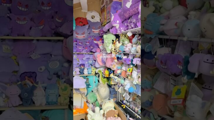 オタク部屋 積みフィギュアグッズを1日1開封目指したい!!! リゼロポケモンミクとか好き (レムラム メタモンゲンガーエレズンミミッキュとか)