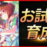 【ウマ娘】SSRトランセンドお試し育成【生放送】
