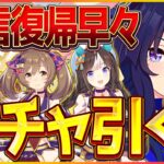 【ウマ娘】祝復帰！鉄の掟ヴィルシーナ引くべ！その後ダートLoHのルームマッチやります～/マーチファルコ/コパノリッキー/水着タルマエ【新シナリオ】