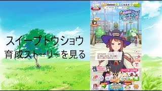 【ウマ娘】スイープトウショウ　初育成