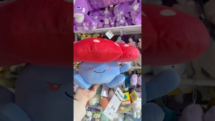 ラフレシア開封!!! オタク部屋片付け (ポケモン リゼロ好き)