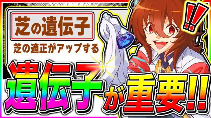 【ウマ娘】因子研究で差がつく『芝の遺伝子』が超重要!!確定100%因子化方法＋6月チャンミ向け因子周回方法も解説【ウマ娘プリティダービー チャンピオンズミーティング 新シナリオ】