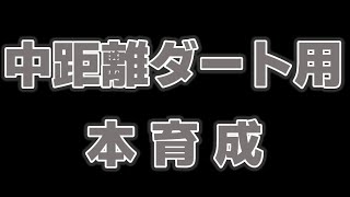 ダート中距離LoH用育成/ファルコ/コパ/タルマエ/ウマ娘LIVE配信