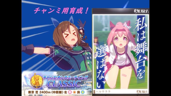 【ウマ娘】チャンミ始まったけど、とりあえずウララちゃん育成する【実況なし】