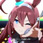 【ウマ娘】作業用、育成垂れ流し配信【概要欄必読】【質問随時募集】【初見さん歓迎】