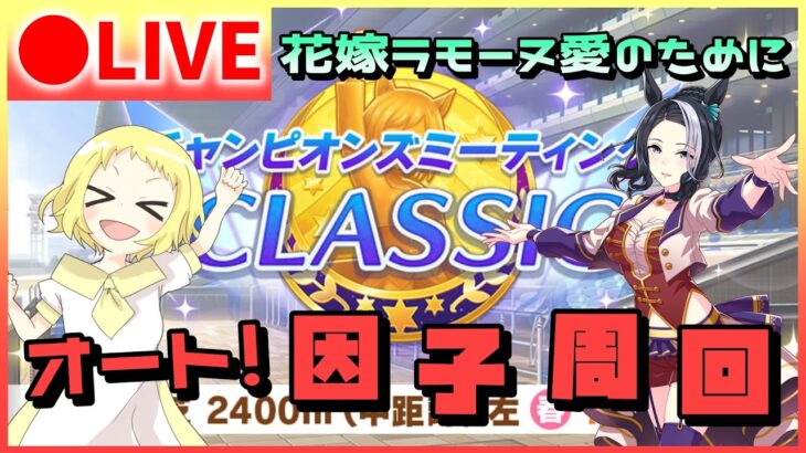 【ウマ娘/生放送】先行の親因子掘るわ…！花嫁メジロラモーヌ…愛のために…！チャンミCLASSICに向けて！雑談！オート因子周回配信！